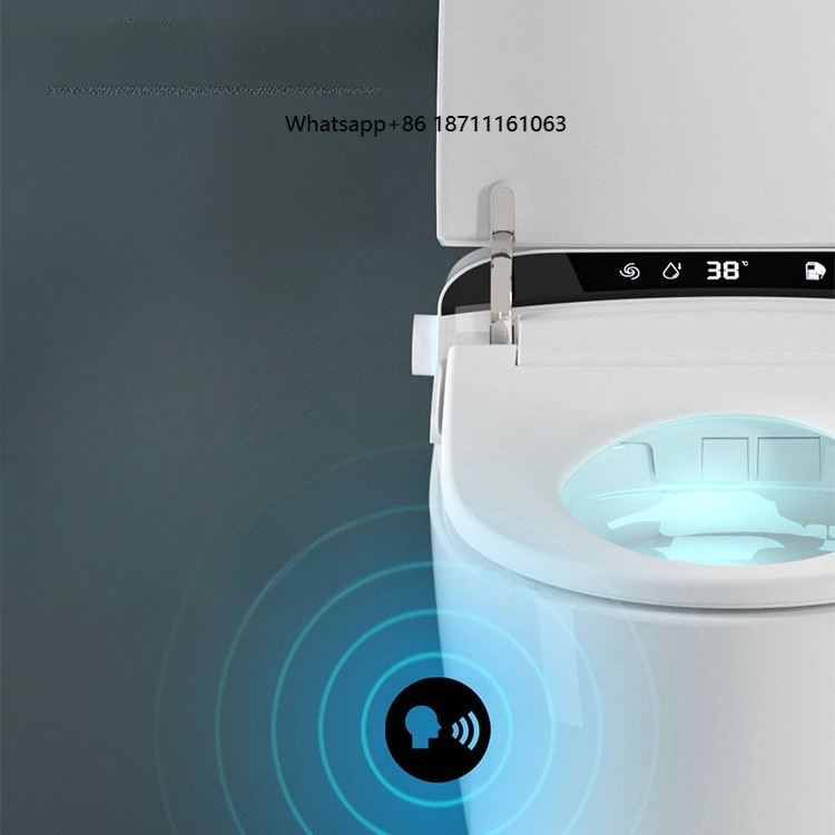 Home Bathroom Ware - Beste kwaliteit verlengde toilet, hotelrestaurant, watermerk