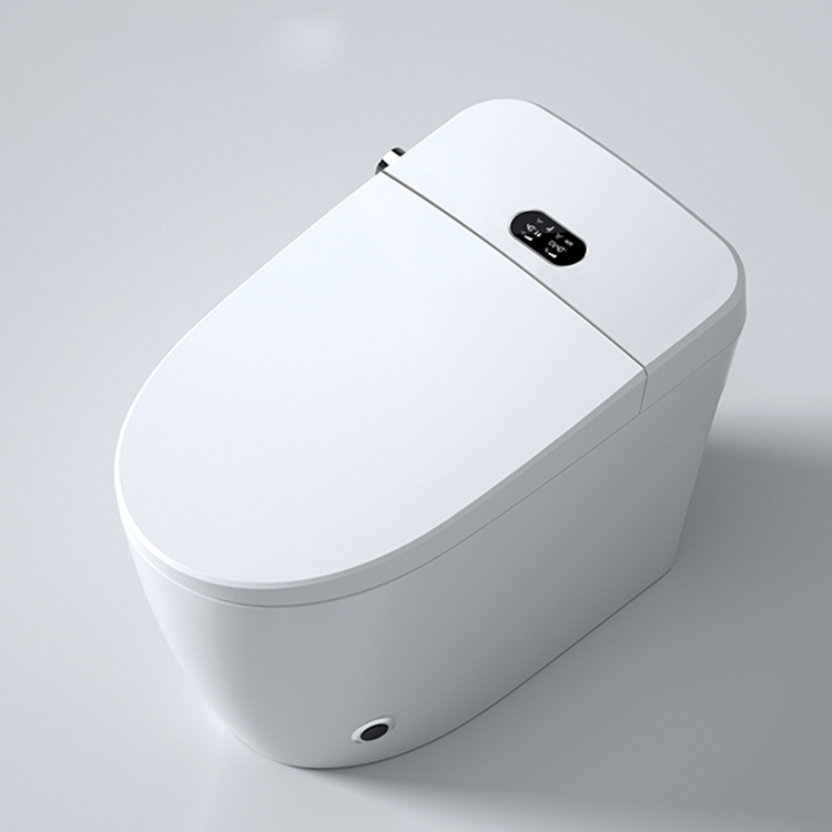 Modern slim toilet met digitaa - Home Bathroom Ware recensie en prijs