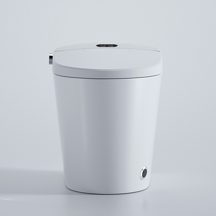 Modern slim toilet met digitaa - Home Bathroom Ware recensie en prijs