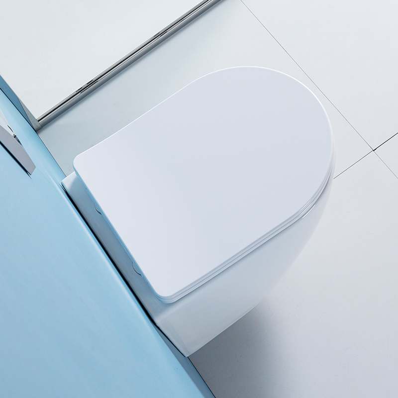 HM-207 OEM/ODM Wandcloset, mod - Home Bathroom Ware recensie en prijs