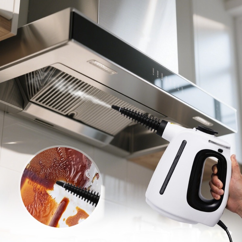 Multifunctionele handstoomrein - Home Kitchen Bathroom Cleaning recensie en prijs