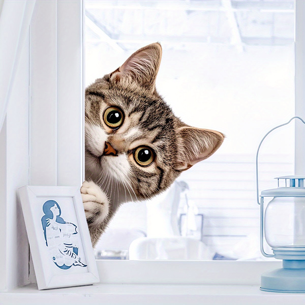 Grappige kat gluren raam muurs - Home Bathroom Window recensie en prijs