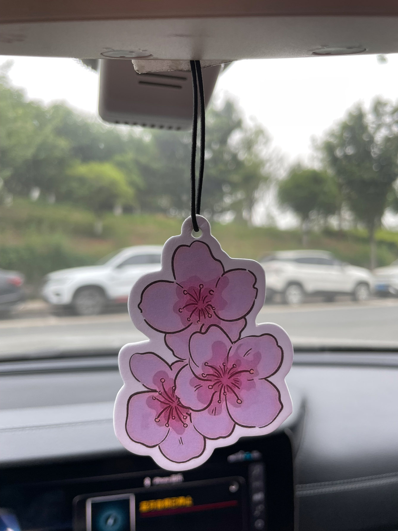 Sakura/Freesia Frisse Geur Vij - Home Bathroom Vent recensie en prijs